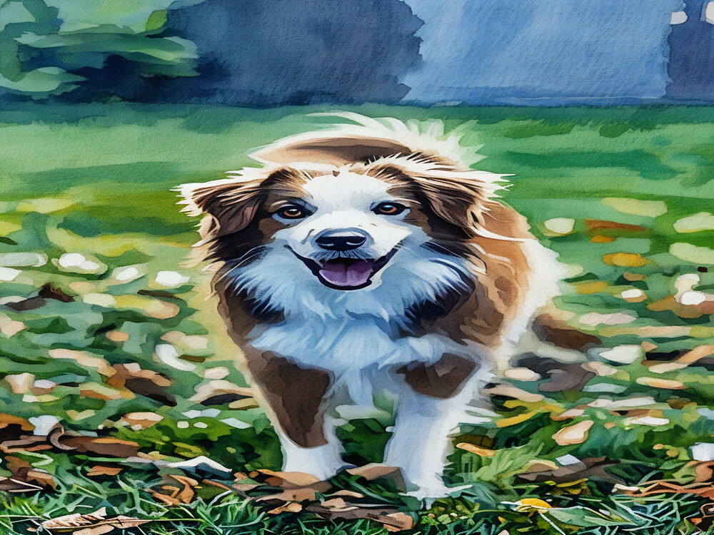 Paws & Memories: Personalized Pet Photo Blanket
